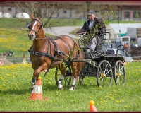 2POSIEUX 0146